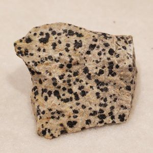 Natural Raw Dalmation Jasper Gemstone #2 Stone